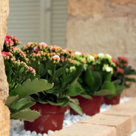 Catogno Apartmán Alghero