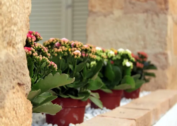 Catogno Apartman Alghero